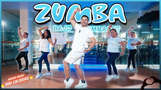 ZUMBA sin Saltos para Principiantes  Beginner routine  No Jumping [upl. by Lerred]