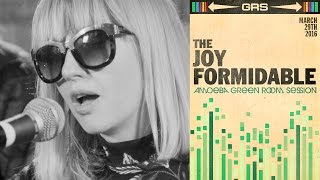 The Joy Formidable  Amoeba Green Room Session [upl. by Medin433]