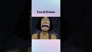 ConDOriano onepiece zoro usopp [upl. by Jasper]