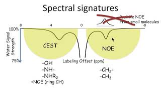 ISMRM MR Academy  Magnetization Transfer MTC NOE CEST [upl. by Sivar]