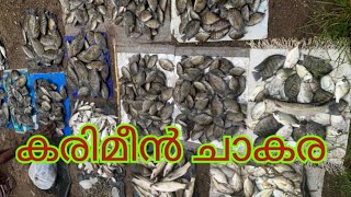 Chulatheruvu Karimeen lelam Malayalam Fishing videos [upl. by Gnilyarg896]