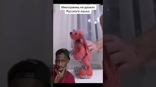 Лучшие тикток мемы 1094  Best TikTok memes shorts memes мем [upl. by Woehick946]