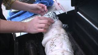 How We Cooked a Whole Roast Suckling Pig on a Gas Grill [upl. by Mauro761]