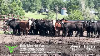 ROB MERRITT FARMS Georgia Summer Safe Sale 81324 [upl. by Madonia907]