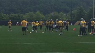 Pittsburgh Steelers DBs work through drill at OTAs Day 4 [upl. by Ilana]