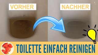 Toilette reinigen Urinstein Toilettenränder amp Kalkflecken beseitigen mit selber gemachten WCTabs [upl. by Macdermot]