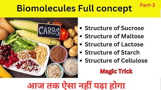 Biomolecules Disaccharides  Polysaccharides Class 12  JEE  NEET [upl. by Neau205]