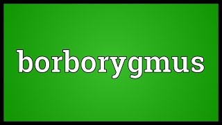 Borborygmus Meaning [upl. by Yelahc]