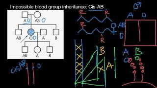 Impossible blood groups inheritance CisAB explained [upl. by Isolda]