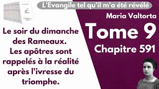 Maria Valtorta  Tome 9 chapitre 591  LEvangile tel quil ma été révélé [upl. by Presber]