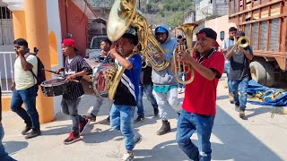 🔥🎺 Cada vez tienen más Experiencia estos Muchachos de Alpoyecancingo Guerrero [upl. by Adnowal546]