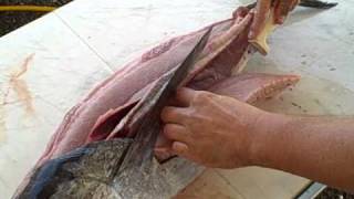 How To Fillet An Albacore Tuna GOOD NEWS TUNA STYLE [upl. by Eikcaj776]