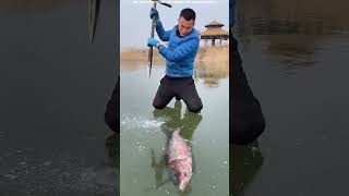 fishing icefish fish carpfishing fisherman bigfish shortsvideo viralvideo facts [upl. by Nosreffej103]