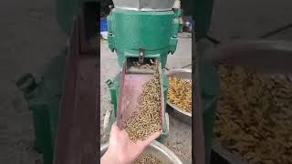 AFFORDABLE PELLET FEEDS MACHINE  PELLETIZER MACHINE  ABA10 AgriBiz [upl. by Arelus]