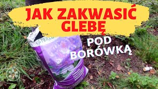 Jak zakwasić glebę pod borówką [upl. by Elmina]