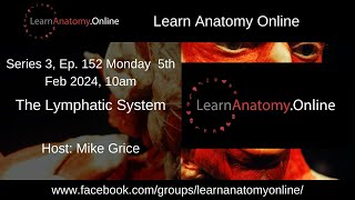 Episode 152  The Lymphatic System [upl. by Eimorej]