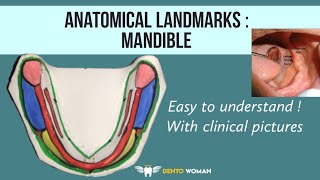 Anatomical Landmarks  Mandible  easy to understand [upl. by Budding604]