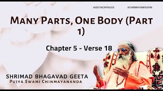 Bhagavad Geeta  Many Parts One Body Part 1 Chapter 5 Verse 18 [upl. by Airehs422]