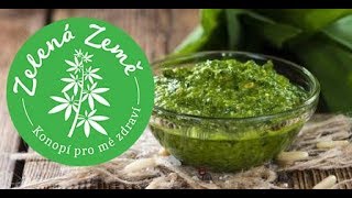 Jak připravit KONOPNÉ PESTO [upl. by Torrence511]