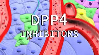 DPP4 Inhibitors [upl. by Yrakaz839]