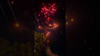 Diwali Countdown Begins Fireworks Festive Vibes amp Celebrations  PreDiwali 2024 [upl. by Hopkins856]