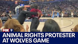 Video of animal rights protester entering Timberwolves court getting tackled by security  FOX 9 [upl. by Llertnod]