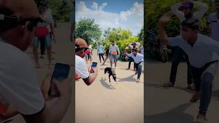 dog race kolhapur status  dog race kolhapur 2024  dog race  dog race kolhapur dj song  shorts [upl. by Amathiste]