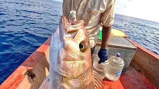 Hand Line Fishing for Rosy Snapper [upl. by Pete]