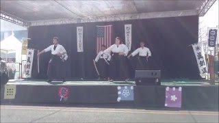 Shinkendo Arizona Nansei Dojo Matsuri 2016 [upl. by Gannie589]