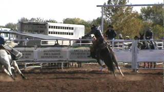 Saddle bronc rider Jesse James Kirby on 522 Falling Star [upl. by Funda]