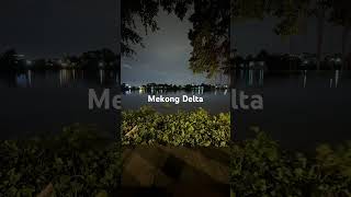 Vietnam Mekong Delta floating plants [upl. by Presley]