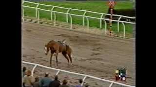 Scary Incident at Southwell Racecourse [upl. by Lorrac592]