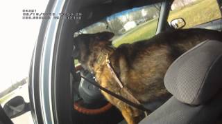 Sample video submitted by Police Officer from the Wolfcom 3rd Eye camera [upl. by Merta166]