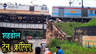 Train Crossing over Bridge  पुल के ऊपर से ट्रेन क्रासिंग  Ponda Nala Shahdol  Hamara Shahdol [upl. by Lehte565]