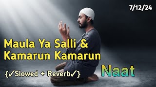 Maula Ya Salli amp kamarun Kamarun Naat Mind Relaxing Naat [upl. by Hobey835]