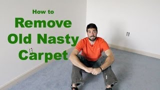 How to Remove Old Nasty Carpet DIY [upl. by Magda556]