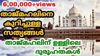 താജ്മഹലിനെ കുറിച്ചുള്ള സത്യങ്ങൾ  Unknown Facts about Taj Mahal  Malayalam  QNA [upl. by Neslund]