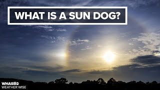 Sun dogs and halos  Weather Wise Lessons [upl. by Nilorac]