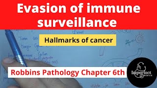 Evasion of Immune surveillance Hallmarks of Cancer Neoplasia Robbins Pathology mbbslectures [upl. by Adnalor97]