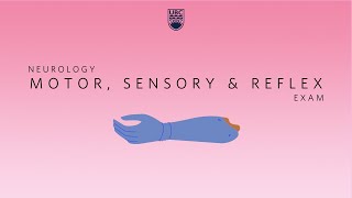 Neurology Clinical Skills  Motor Sensory amp Reflex Neurological Exam neurology ubcmedicine [upl. by Nanine]