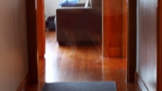 Ghost Caught On Camera New Zealand Hauntings Unexplained phenomenon paranormal spirit [upl. by Anyak264]