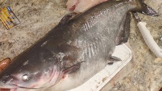 How to clean and fillet catfish 🎣 Raw amp UnCut [upl. by Wehner899]