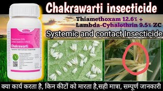 Chakrawarti insecticide  katyayani Chakrawarti insecticide Thiamethoxam 126  LambdaCyhalothrin [upl. by Erinna]