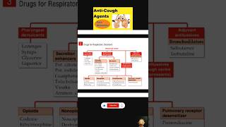 classification of bronchial asthma and cough drugs p1pharmacology pharmacistmedicinedrugsmbbs [upl. by Tanaka]