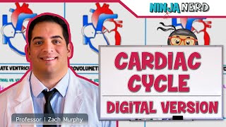 Cardiovascular  Cardiac Cycle Digital Version [upl. by Luoar]