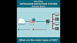 Intrusion Detection Systems IDS In Cyber Security  Cybex Sword [upl. by Terriss629]