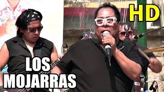 LOS MOJARRAS  TRICICLO PERU  En Vivo  Concierto [upl. by Neisa]