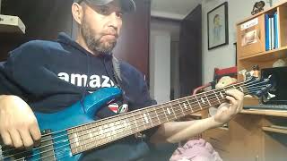 Panteón Rococó  Vendedora de caricias  Bass cover [upl. by Dominga]