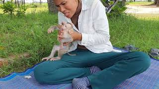 Adorable Infant Primate A Captivating Baby Monkey  Mean Mean Ep51 [upl. by Phira]