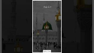 Khula Hai Sabhi K Liye Baab e Rehmat🤲🥹❤️QalbCare15shorts youtube foryou viral [upl. by Alegnaed]